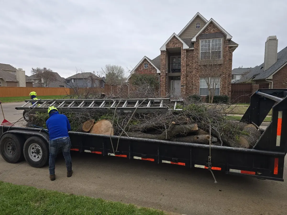 Expert Tree Fertilization with proper safety equipment in Morrill